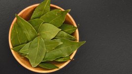 Ползите за здравето от маслото от дафинов лист