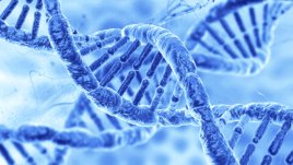 Вдъхновение на седмицата: Как да надвиете гените си? (видео)