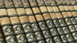 Мисъл на деня