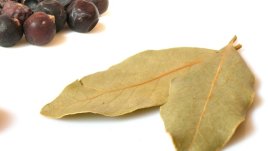 Дафиновият лист помага при диабет