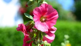 След лятото