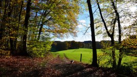 Есенна песен