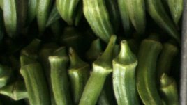 Защо е добре да консумирате бамя?