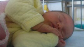 Бременност седмица 28: М-у-у