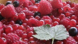 Френски тарт с червени плодове