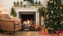Как да изберем най-хубавото коледно дърво? 