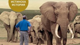 В света на дивата природа на Африка