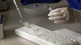 Застраховка с яйцеклетки – интересен подарък за 18-ия рожден ден