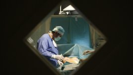 Измамите в пластичната хирургия