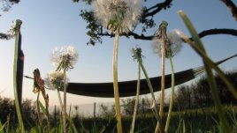 Почивни дни и официални празници през 2013