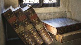 Мисъл на деня