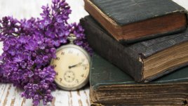 Мисъл на деня