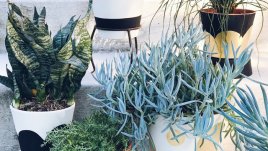 Красива златиста декорация за саксии 