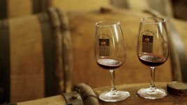 Едни от най-добрите региони с прекрасни вина в света