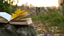 Притча за препятствията на пътя