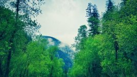 Мисъл на деня за... трудностите