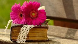 Мисъл на деня за добротата