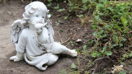 Мисъл на деня за вътрешния мир