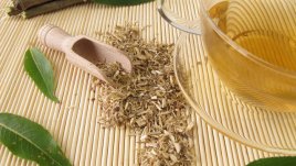 5 вида чай при главоболие 