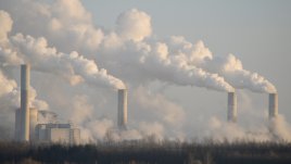 Как да се предпазим от мръсния въздух в градовете? 