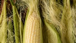 Чай от царевични влакна и неподозираните ползи от него  