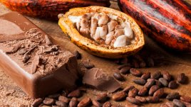 Най-добрите афродизиаци за жени