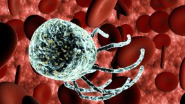 Учени разработват революционно лекарство срещу рака