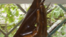 Време е за милосърдие