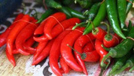 Шарена сурова туршия