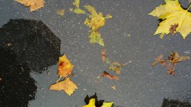 Дръжте грипа надалече – 10 есенни съвета