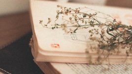 Мисъл на деня за самочувствието и хората