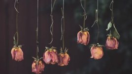 Мисъл на деня за... промените