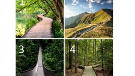 Изберете си пътека и вижте какво ви очаква до края на годината