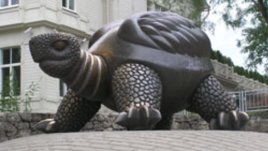 Костенурка за подарък – символ на дълголетие