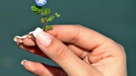 Продукти от кухнята избелват пожълтели нокти