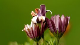 Тук е... есента!