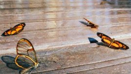 Мисъл на деня за... мислите, които имаме