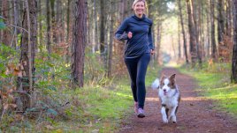 Активности, които стимулират имунитета