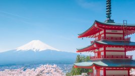 Японска мъдрост на деня