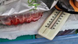 За какво още да използвате фризера?