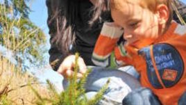 „Зелени Балкани“: Екопротестите не са платени!