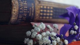 Мисъл на деня за истината