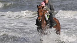 Днес е Тодоровден