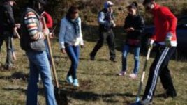 Банкови служители посадиха над 1300 върби по поречието на Струма