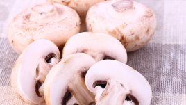 Гъбите – супер полезни за здравето 