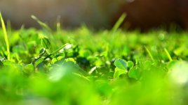 Край на монотонното мислене. 75 начина да постигнем мечтите си