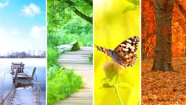 Тест: Сезонът, в който сме родени, определя личността ни