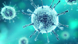 Бактерии, с които можете да се заразите от тоалетната