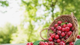 Трикове за запазване на черешите свежи цял месец