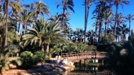 Градът на слънцето – на 3 часа от София от 25 април с „България Ер“